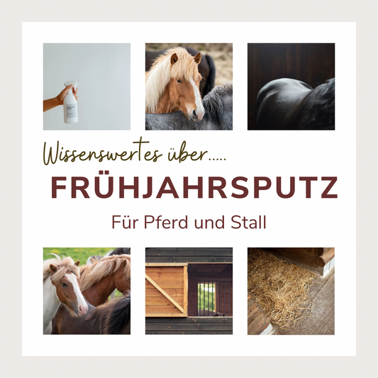 Frühjahrsputz für Pferd und Stall: Alles für einen frischen Start ins Jahr VeWi • Arts kreatives Design und Liebe zum Islandpferd